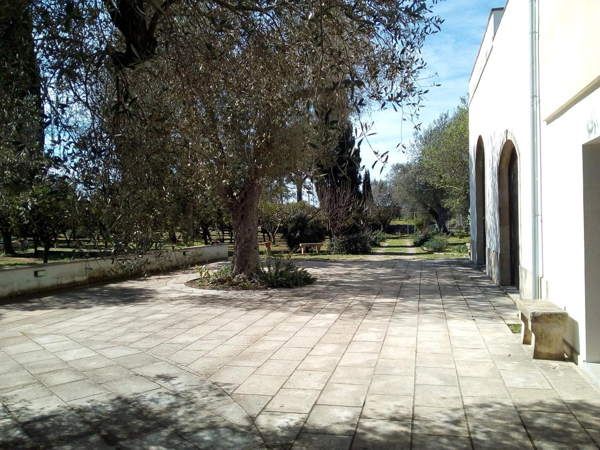 Agriturismo Villa Coluccia 마르타노 외부 사진