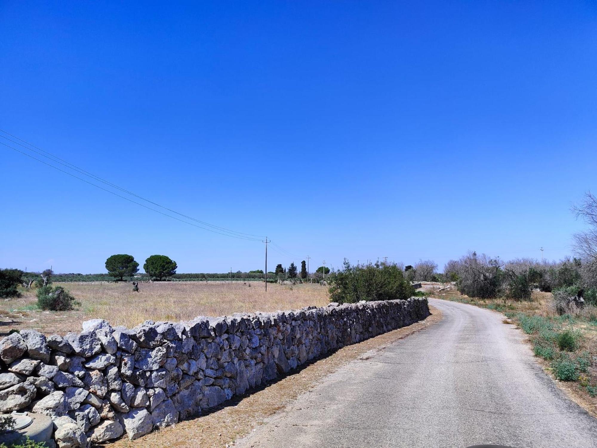 Agriturismo Villa Coluccia 마르타노 외부 사진