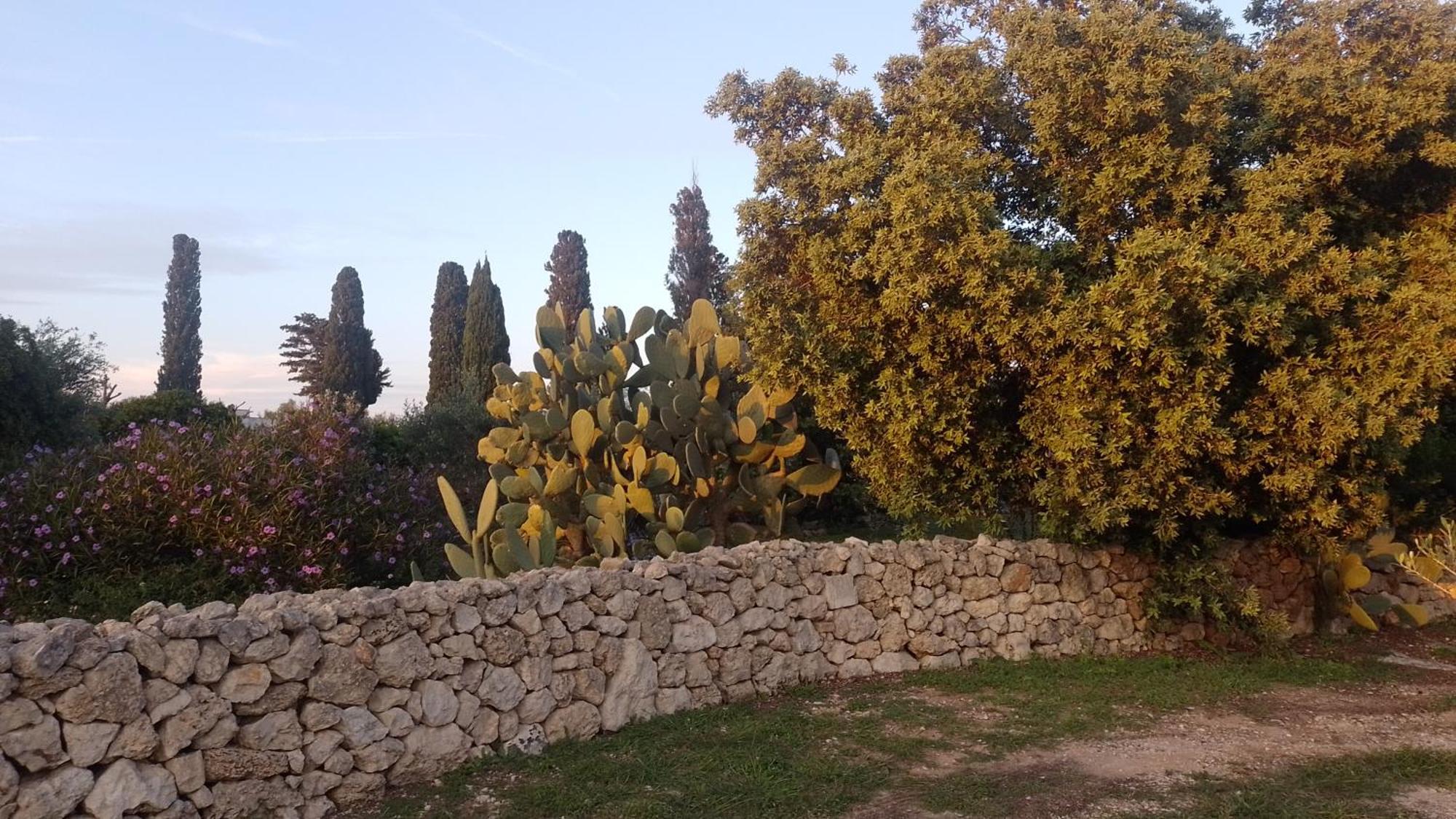 Agriturismo Villa Coluccia 마르타노 외부 사진