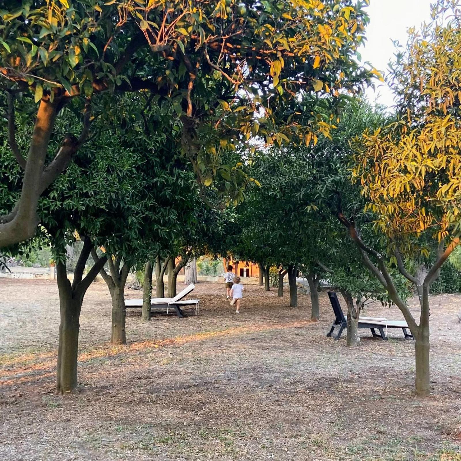 Agriturismo Villa Coluccia 마르타노 외부 사진