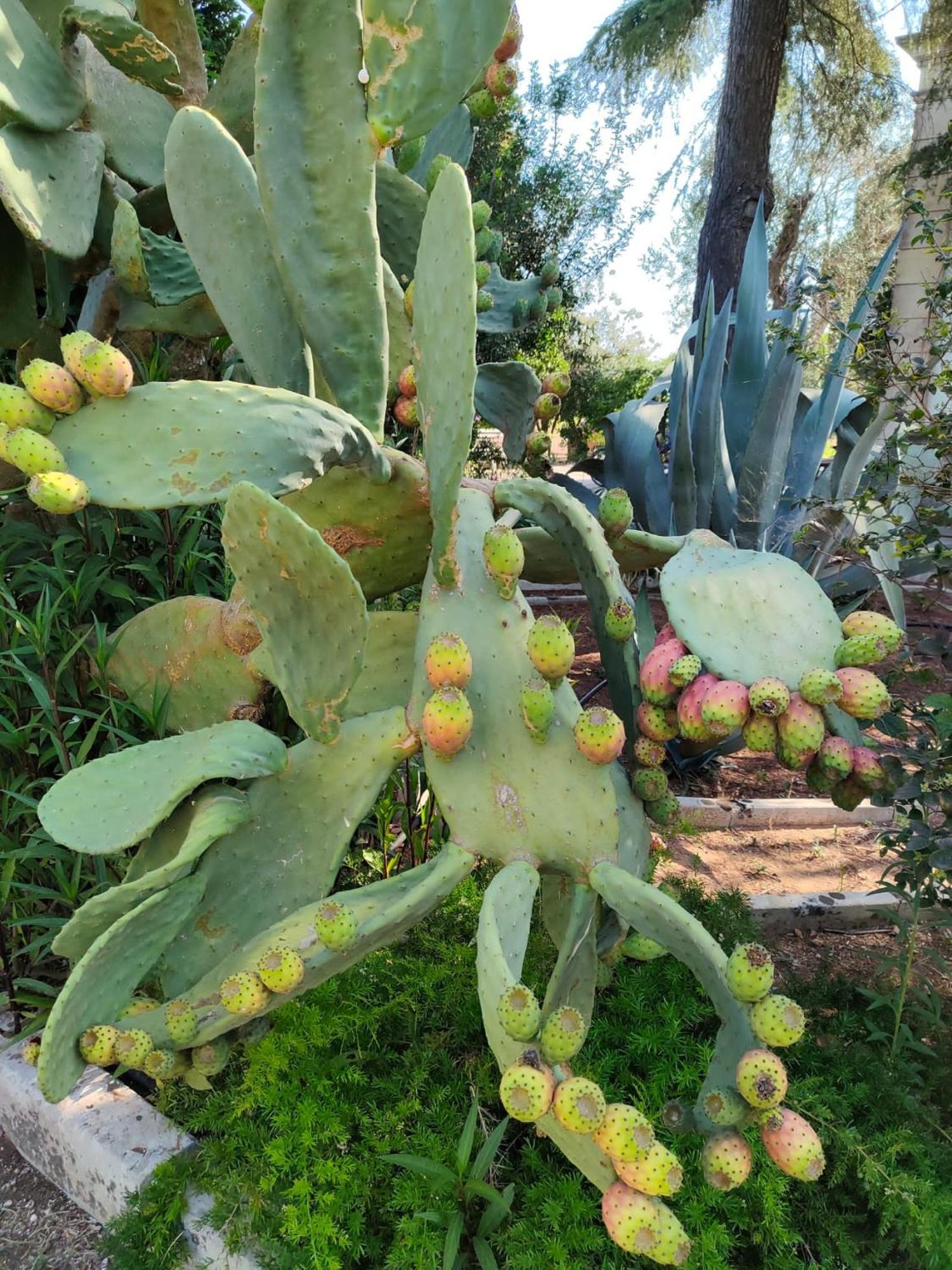 Agriturismo Villa Coluccia 마르타노 외부 사진