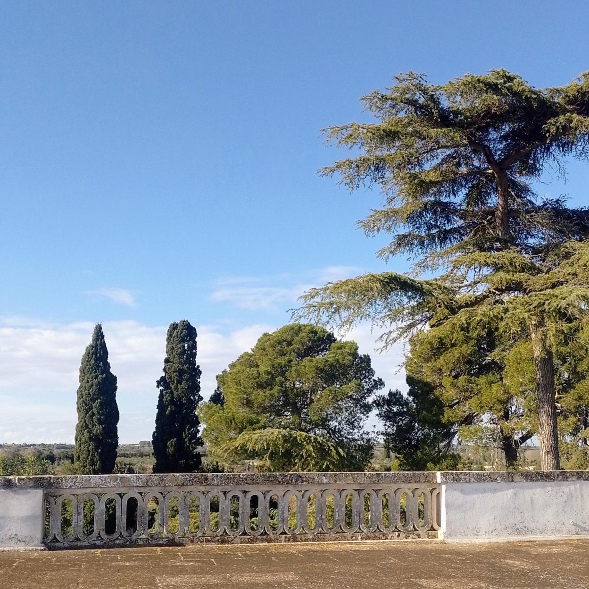 Agriturismo Villa Coluccia 마르타노 외부 사진