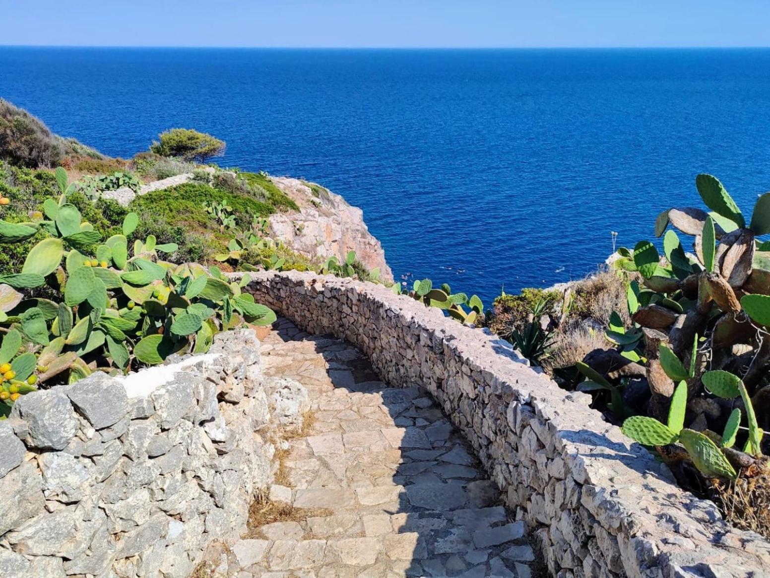 Agriturismo Villa Coluccia 마르타노 외부 사진